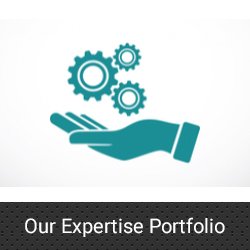 Our Expertise Portfolio